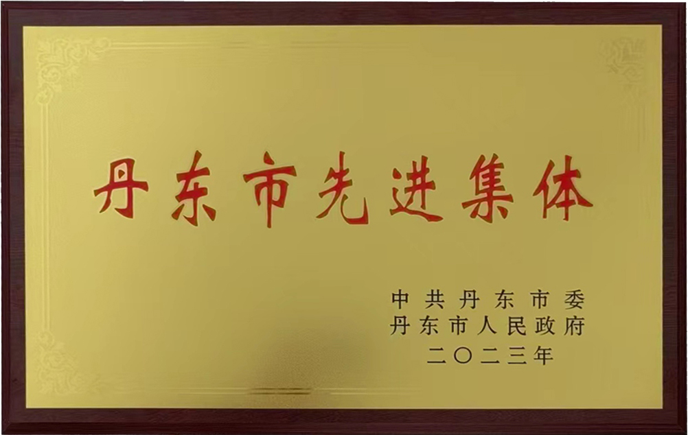 丹东先进集体